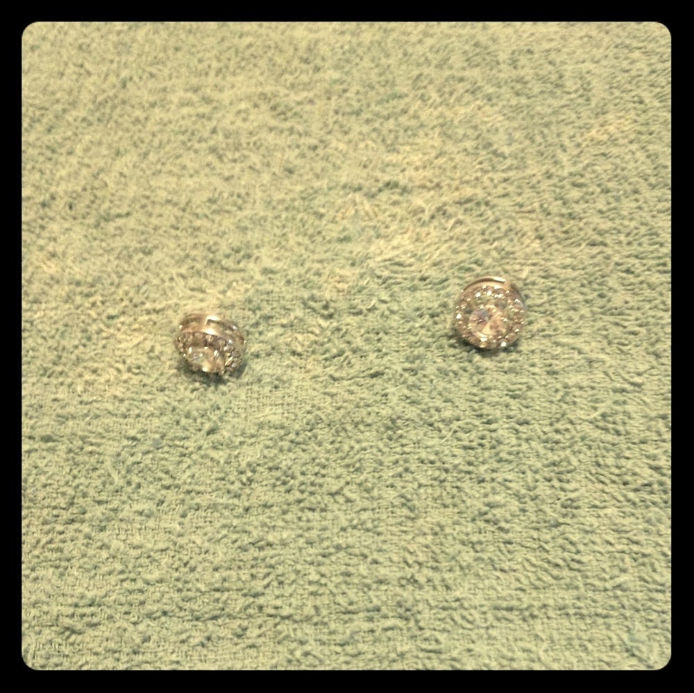 Zubrican Stud Earrings
